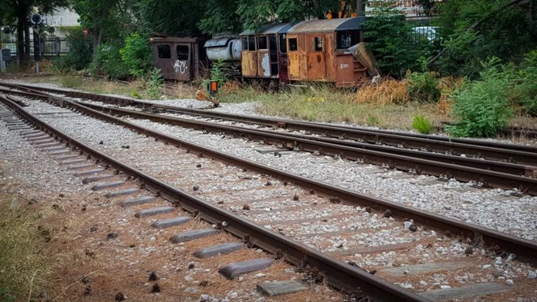 Βελεστίνο: Τραίνο συγκρούστηκε με αγριογούρουνα και έμεινε στο σημείο – Τα χρειάστηκαν οι επιβάτες και ο οδηγός!